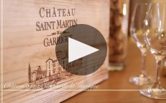 Chateau St. Martin de la Garrigue Winery Video