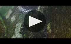 Bodegas Fillaboa Winery Video