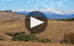 Torres Winery Video