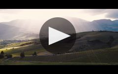 Zaccagnini Winery Video