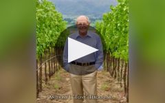 Terlato Family Vineyards Winery Video