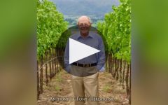 Terlato Family Vineyards  Winery Video