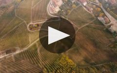 Abbona Winery Video