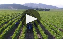 Excelsior Winery Video