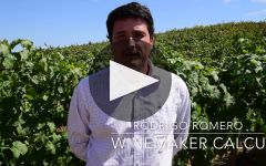 Calcu Winery Video