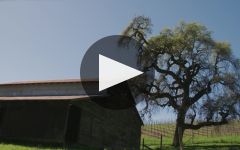 Rowen Winery Video