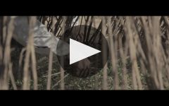 Ancho Reyes Winery Video
