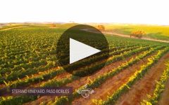 Santo Stefano Winery Video