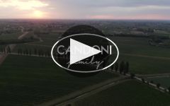 Candoni De Zan Winery Video
