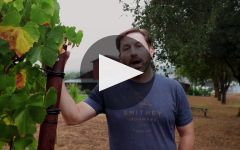 Arista Winery Winery Video