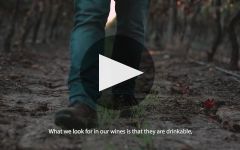 Trivento Winery Video