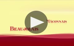 Buy Louis Jadot Brouilly 2021 - VINVM