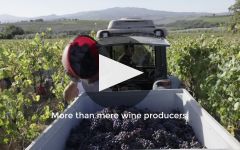 Col d'Orcia Winery Video