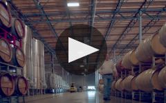 10,000 Hours Winery Video