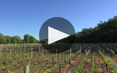 Chateau de Landiras Winery Video