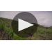 Vina Ventisquero Grey Single Block Vineyard Cabernet Sauvignon 2014  Product Video