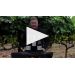 Mon Frere Chardonnay 2018 Product Video