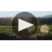 Codorniu Anna de Codorniu Cava Blanc de Blancs  Product Video