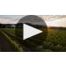Nickel & Nickel Sullenger Vineyard Cabernet Sauvignon 2018 Sullenger Cabernet Sauvignon Tasting Product Video