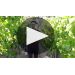 Austin Hope Cabernet Sauvignon (1.5 Liter Magnum) 2017 Learn More About Austin Hope Cabernet Product Video